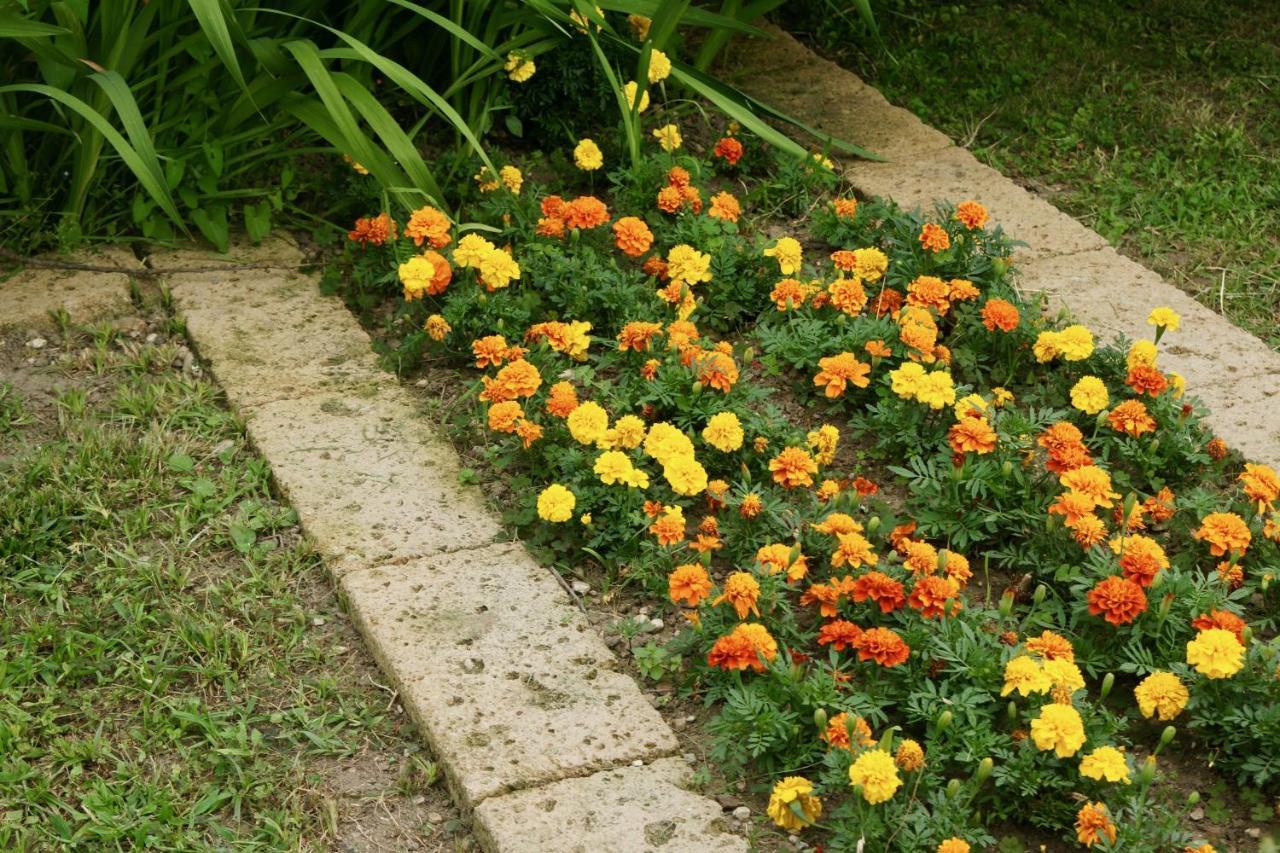 Buia B&B The Secret Garden מראה חיצוני תמונה